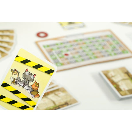 999games 999 games Gioco di carte del gatto di Schrödinger (olandese, 2 - 6 giocatori, 20 minuti, da 10 anni)