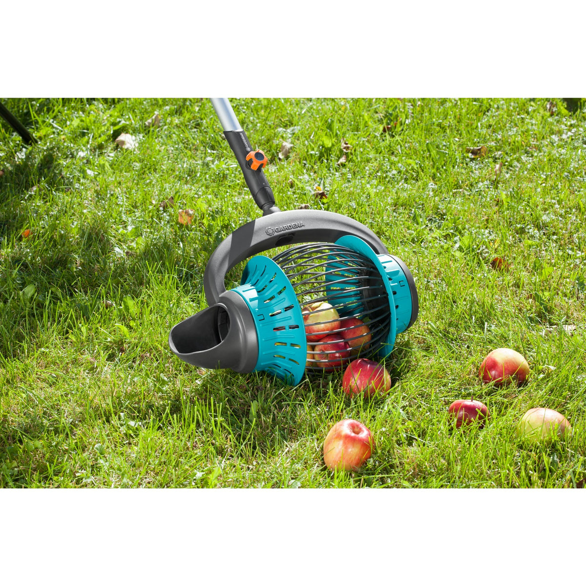 Gardena combisystem raccoglitrice di frutta raccoglitrice di frutta (turchese nero, 3108-20)