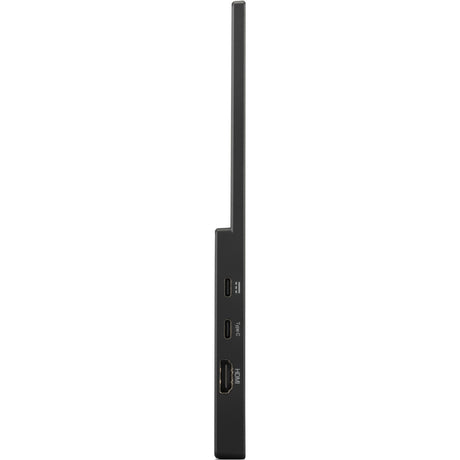 Monitor portatile leggero Viewsonic VA1650 16 (nero, 1x HDMI, USB-C)