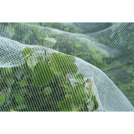 Zanzariera a rete anti-insetto Nature (bianco trasparente, 5,2 x 5 m)