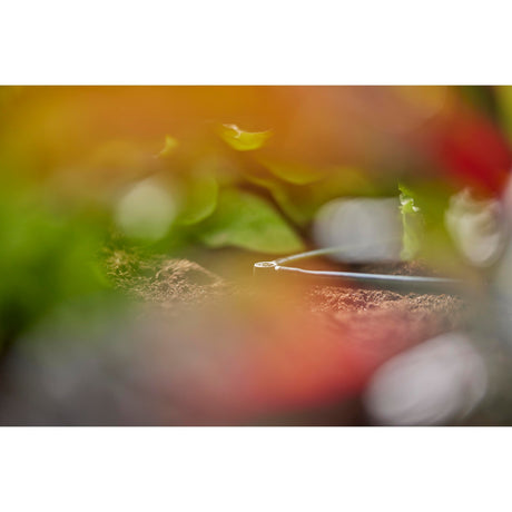 Gardena raccordo a L da 4,6 mm (3 16 ) (grigio scuro, 10 pezzi)