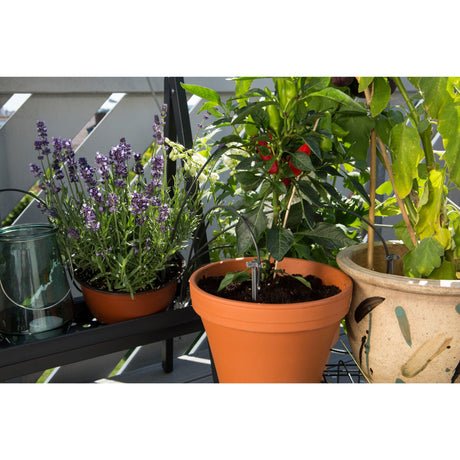 Gardena set di irrigazione per le vacanze computer per irrigazione (grigio, 1265-20)