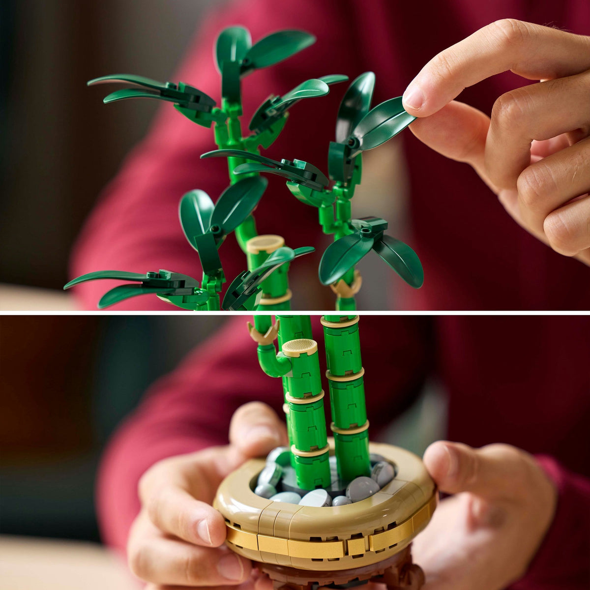 Bambù LEGO® Botanicals - decorazione vegetale - 10344
