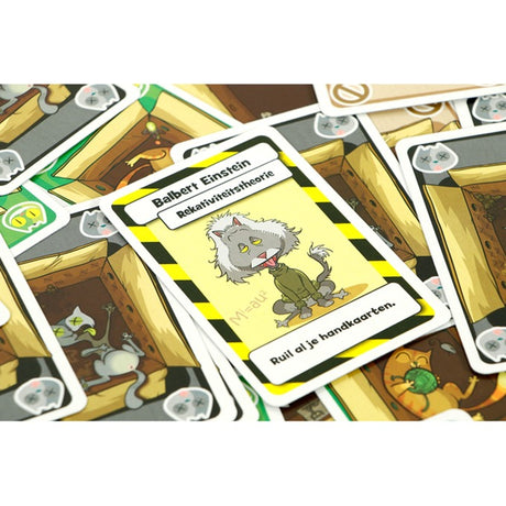 999games 999 games Gioco di carte del gatto di Schrödinger (olandese, 2 - 6 giocatori, 20 minuti, da 10 anni)