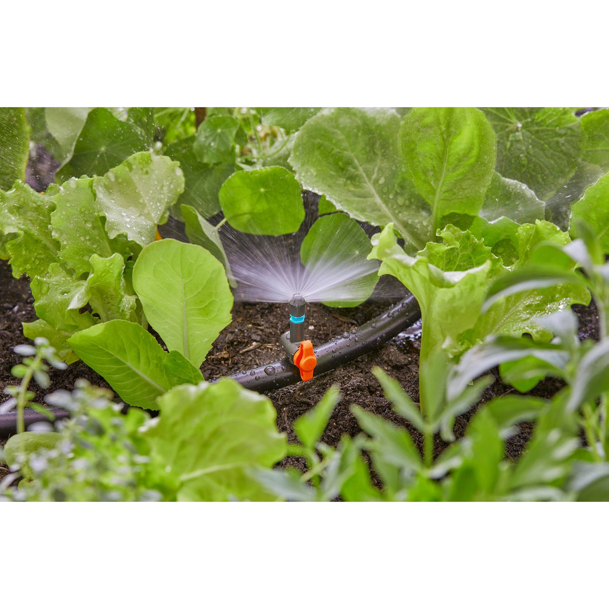 Irrigatore Gardena 180° (turchese nero, 5 pezzi)