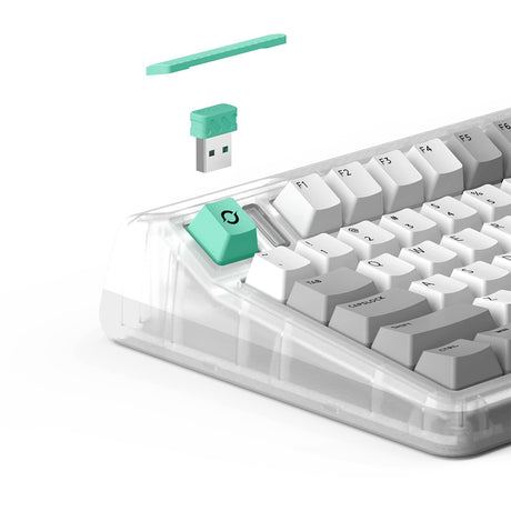 Tastiera meccanica wireless Iqunix OG80 wormhole (grigia, layout USA (QWERTY), Cherry MX Brown, 80% (TKL), LED RGB, sostituibile a caldo, PBT, 2,4 GHz | Bluetooth 5.1 | USB-C)