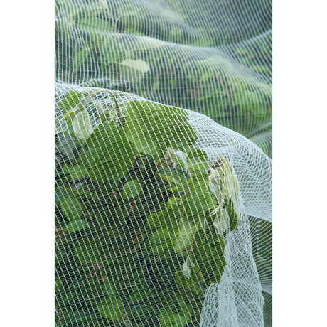 Zanzariera a rete anti-insetto Nature (bianco trasparente, 5,2 x 5 m)