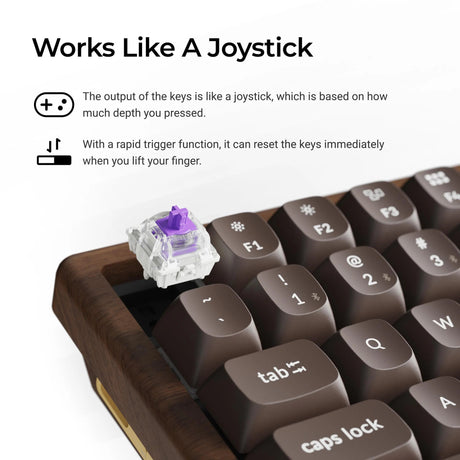 Keychron k2he tastiera meccanica edizione speciale interamente in legno (colore legno, layout us (qwerty), nebulosa magnetica a doppia guida gateron, 75%, gateron magnetica a doppia guida, osa pbt double-shot, hot swap, bluetooth 5.2 | usb-c)