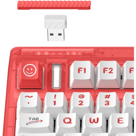 Tastiera meccanica wireless Iqunix OG80 Joy Vendor (grigia, layout USA (QWERTY), Cherry MX Brown, 80% (TKL), LED RGB, sostituibile a caldo, PBT, 2,4 GHz | Bluetooth 5.1 | USB-C)