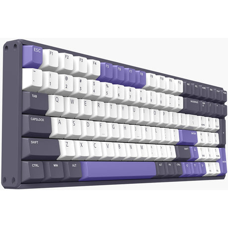 Tastiera meccanica wireless Iqunix f97 lavandin (lavanda, layout us (qwerty), cherry mx brown, 96%, led rgb, hot-swapable, pbt, 2.4ghz | bluetooth 5.1 | usb-c)