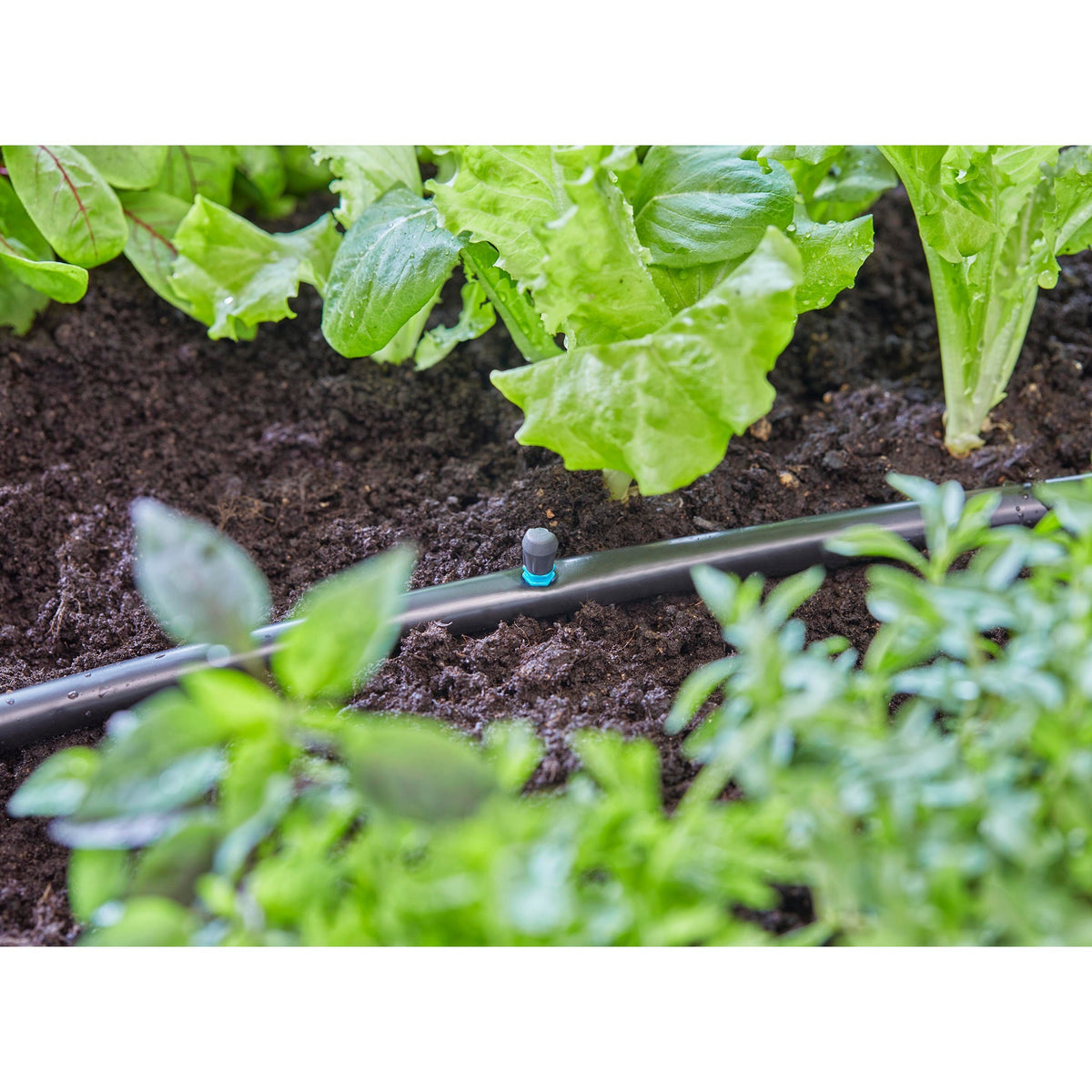 Irrigatore a microgoccia Gardena 90° (turchese nero, 5 pezzi)