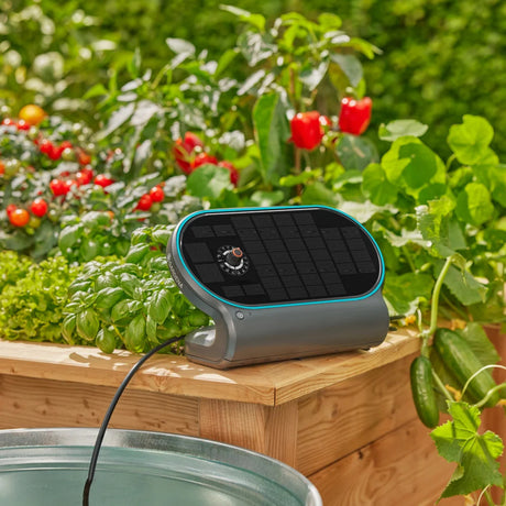 Prodotti Gardena set aquabloom l