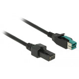 Cavo USB alimentato Delock maschio 12 V > 2 x 4 pin maschio per stampanti e terminali POS (nero, 2 metri)