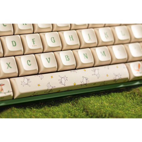 Tastiera da gioco meccanica rgb iqunix f97 con data floreale (verde, layout us (qwerty), iqunix piccolo principe, 96%, led rgb, sostituibile a caldo, pbt, 2,4 ghz | bluetooth 5.1 | usb-c)