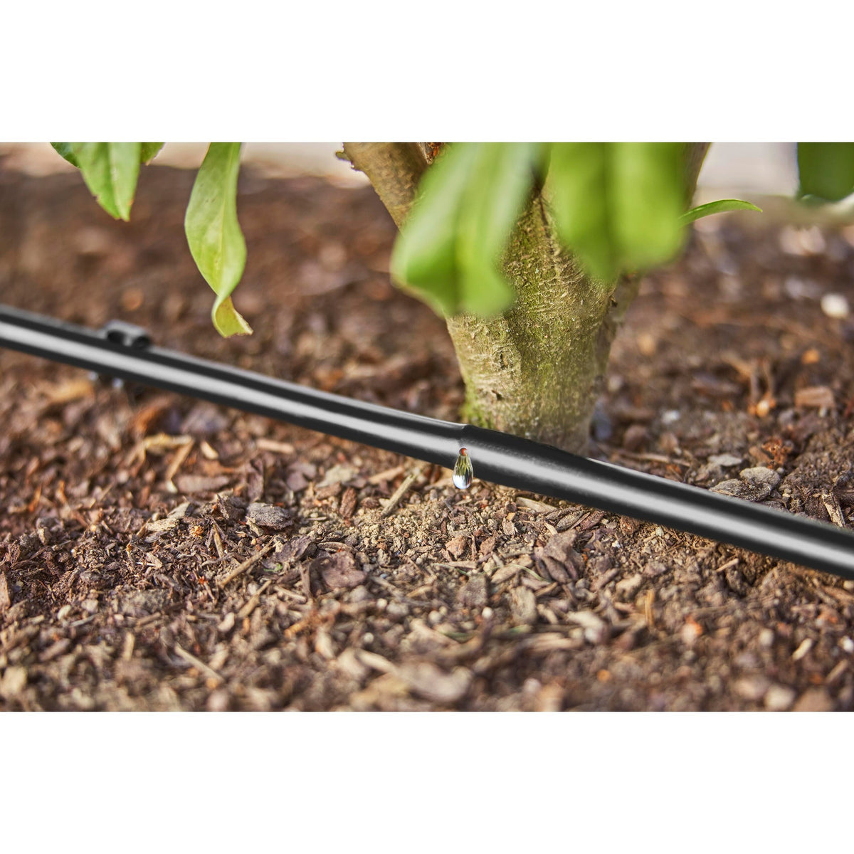 Set Gardena micro-irrigazione siepi arbusti (50 m) gocciolatore (nero)