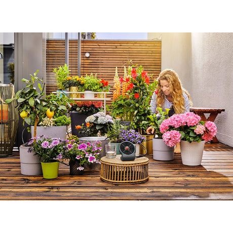 Gardena set di irrigazione per le vacanze aquabloom set computer per irrigazione (grigio, 13300-20, batteria inclusa)