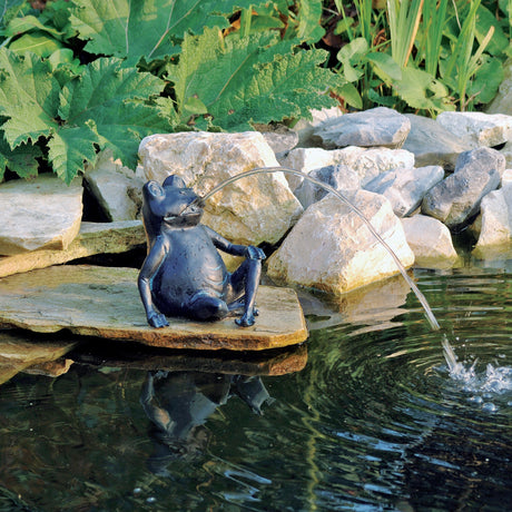 Figura della siringa della rana di Ubbink