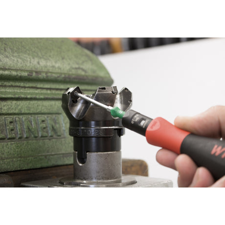 Cacciavite dinamometrico Wiha torquevario-s (nero rosso, 2 pezzi, 0,04 - 0,46 nm)