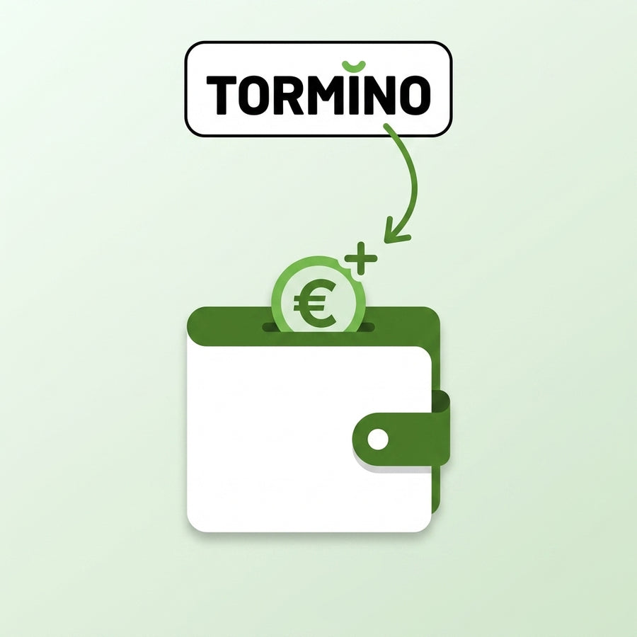 Tormino B2B wallet — ricarica saldo per ordini dropshipping