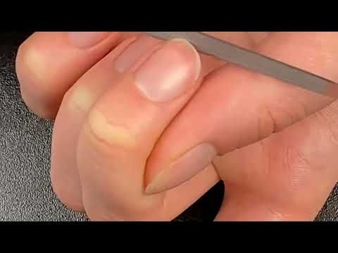 Lima in zaffiro Erbe solingen 15 cm (erbe91805)