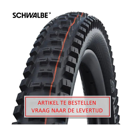 Band pieghevole Schwalbe Big Betty Super Trail 29 x 2.40 62-622 mm - Nero