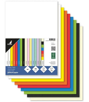 Carta Kangaro A4 120gr 100 fogli colori assortiti in confezione