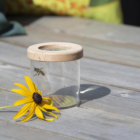 Scatola da studio per insetti in legno di design Esschert