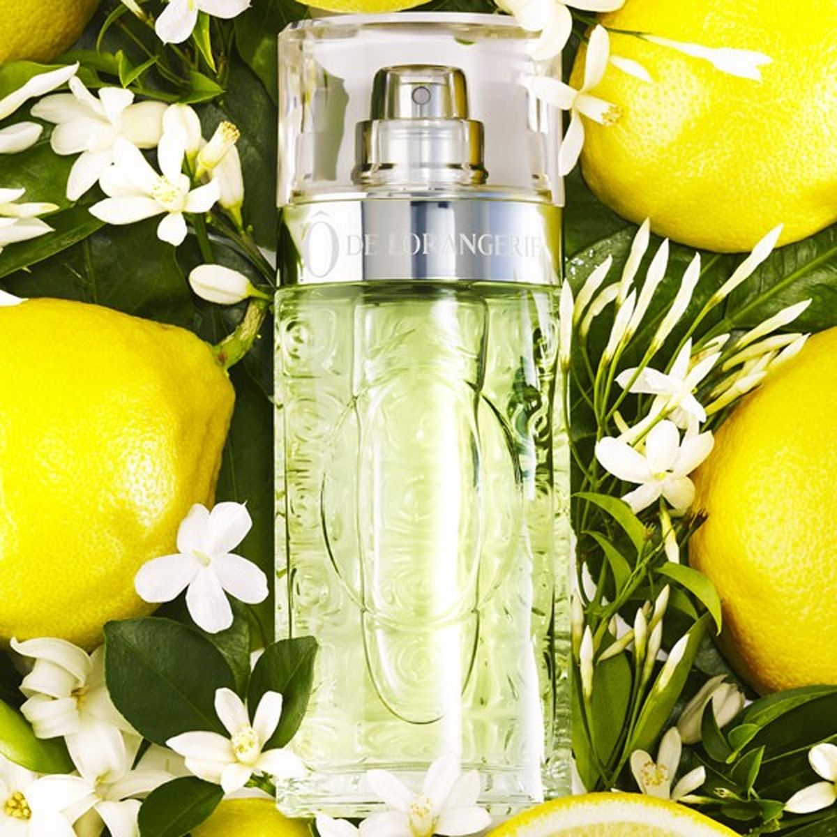 Lancome eau de toilette spray da donna ô da 75 ml