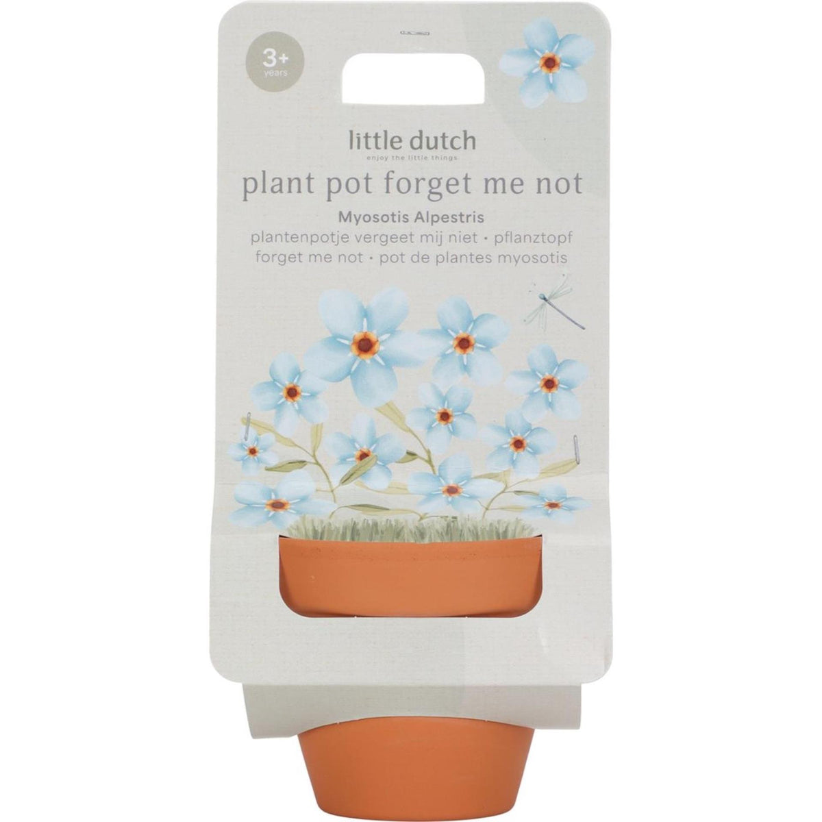 Piccolo vaso per piante olandese dei nontiscordardimé
