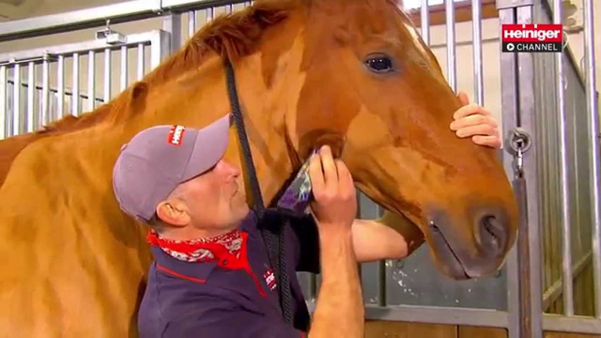 Prodotti Heiniger cesoia progress horse 23 31tds