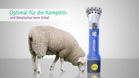 Aesculap econom prodotti tosatrice per pecore econom cordless plus1 batteria 1