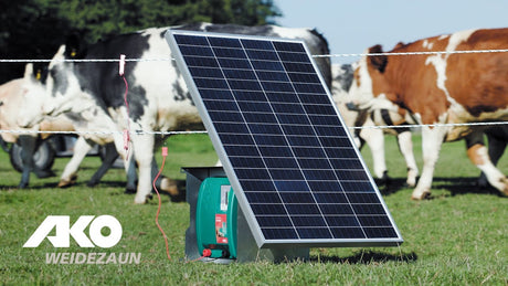 Prodotti Ako duo power xi8000 energizzatore intelligente 230v 12v