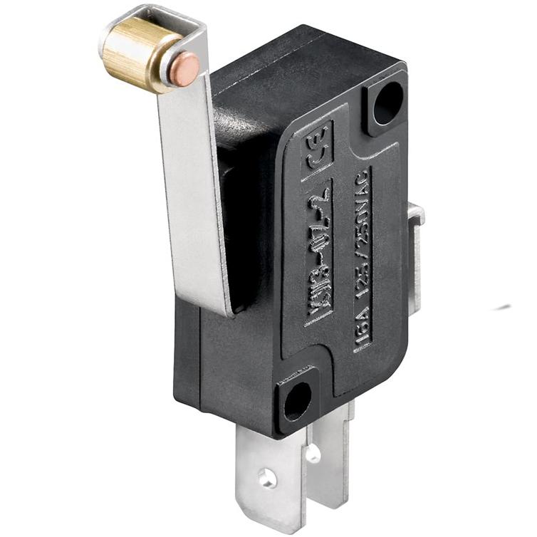 Microinterruttore