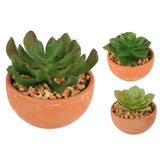 Pianta artificiale in vaso 9 cm 3 assortiti | 12 pezzi