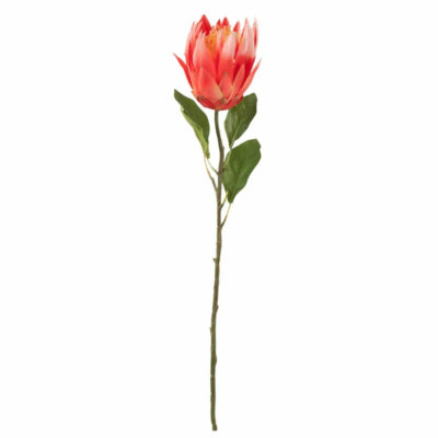 J-line fiore artificiale protea rosso 68 cm | 6 pezzi