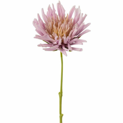 J-line fiore artificiale crisantemo viola 40 cm | 24 pezzi