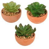 Pianta artificiale in vaso 9 cm 3 assortiti | 12 pezzi