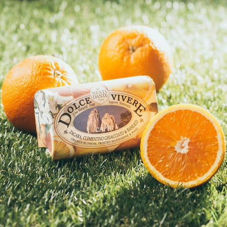 Nesti dante dolce vivere capri sapone 250gr.