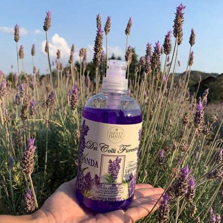 Nesti dante fiorentini pompa per sapone alla lavanda 500ml